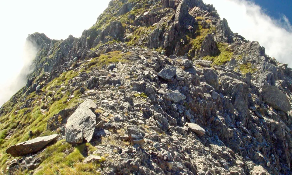Angelus East Ridge Circuit, Tasman