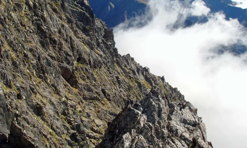 Angelus East Ridge Circuit, Tasman