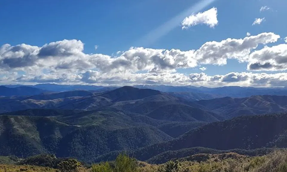 Mt Grey, Canterbury