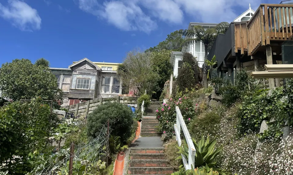 Aro Valley / Tip Track loop, Wellington