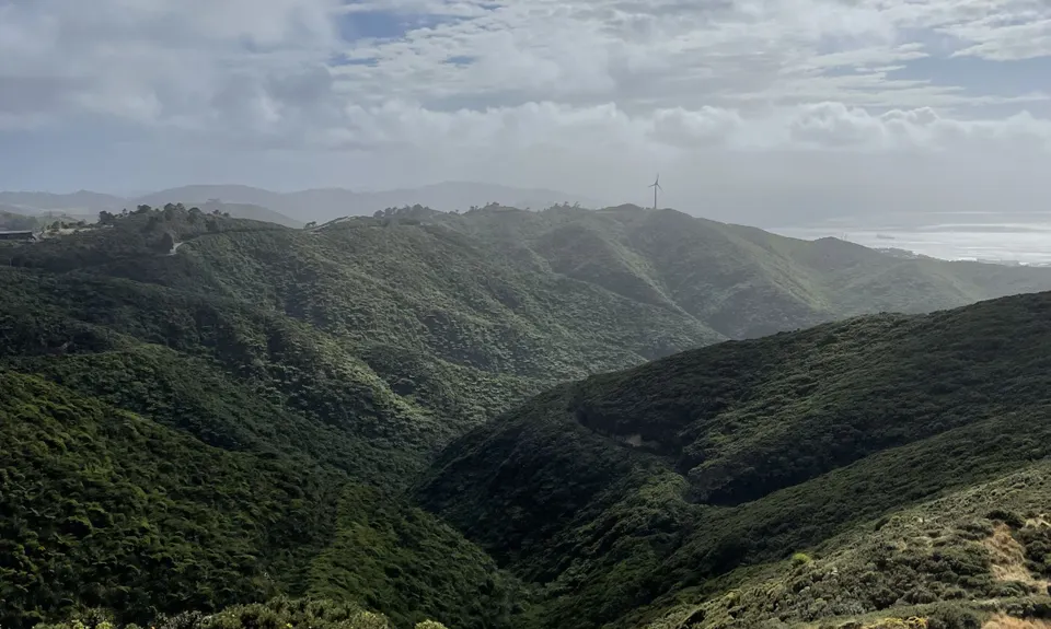 Aro Valley / Tip Track loop, Wellington