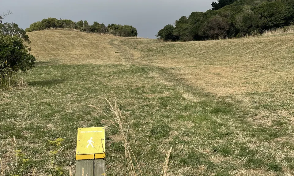Aro Valley / Tip Track loop, Wellington