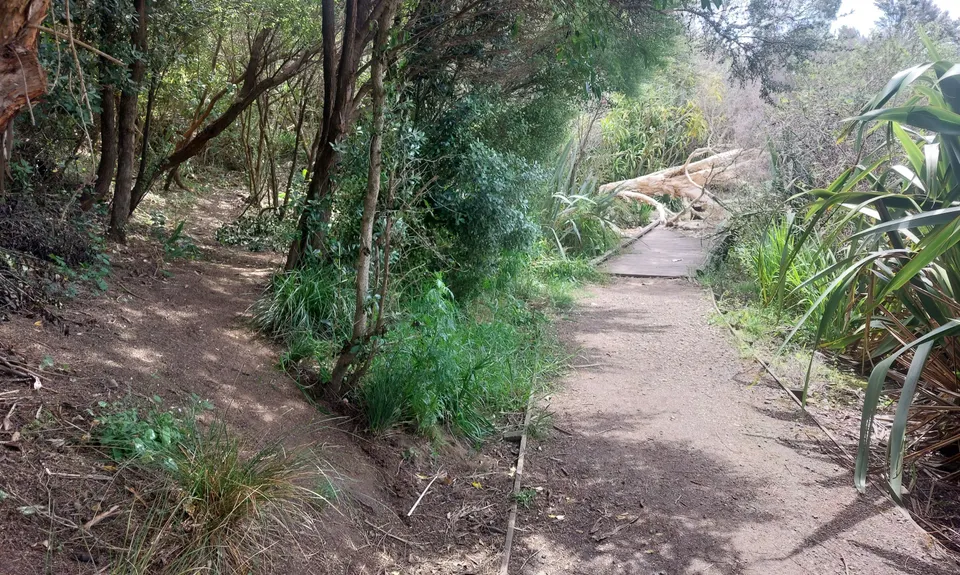 Around the Outside at Te Atatu, Auckland