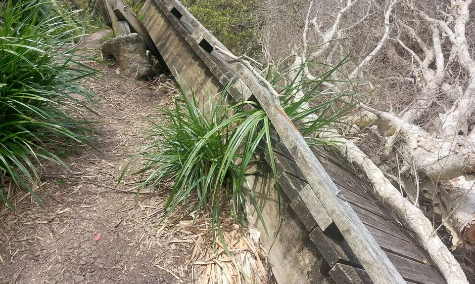 Around the Outside at Te Atatu, Auckland