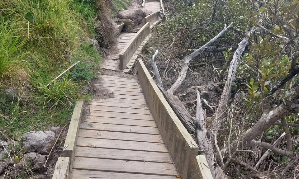 Around the Outside at Te Atatu, Auckland
