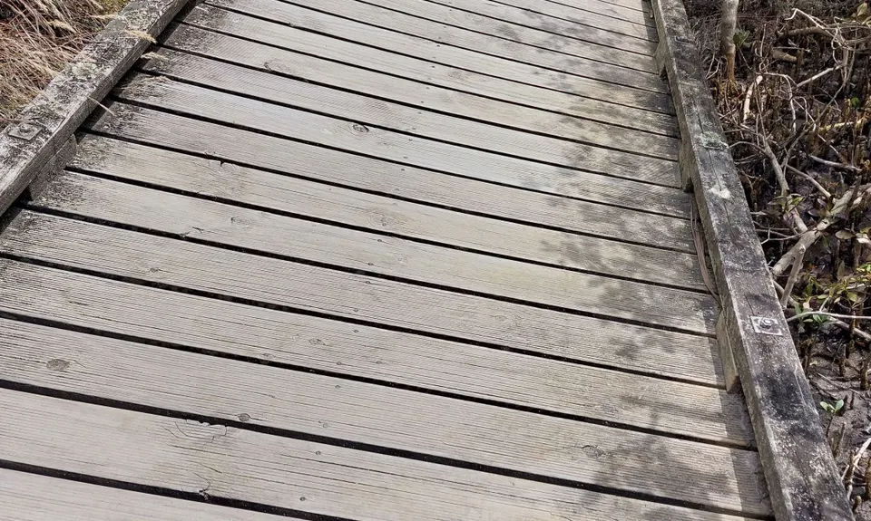 Around the Outside at Te Atatu, Auckland