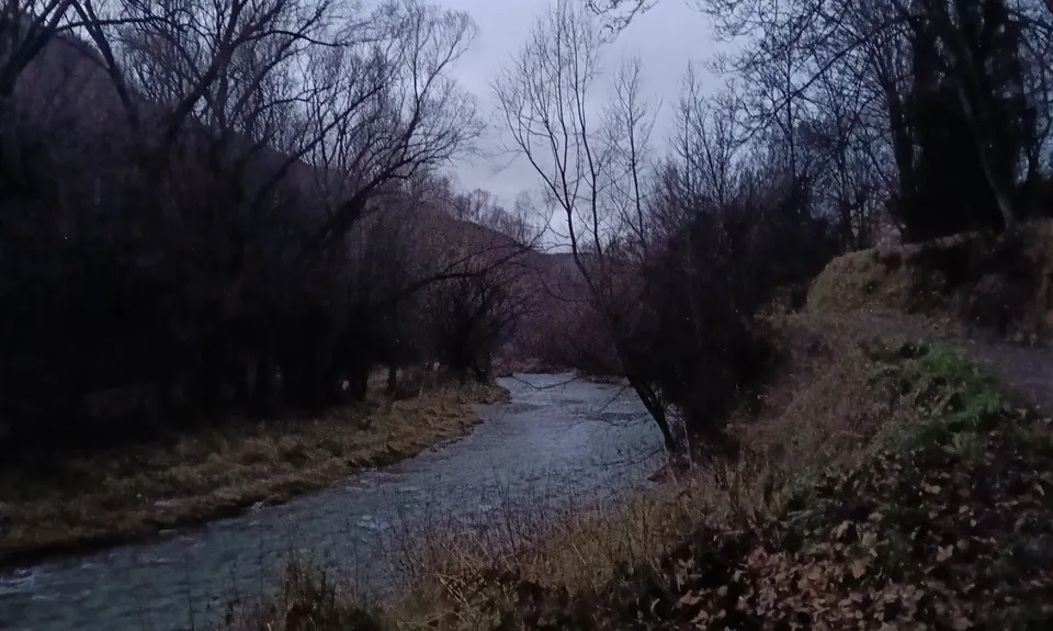 Arrow River Trail, Otago