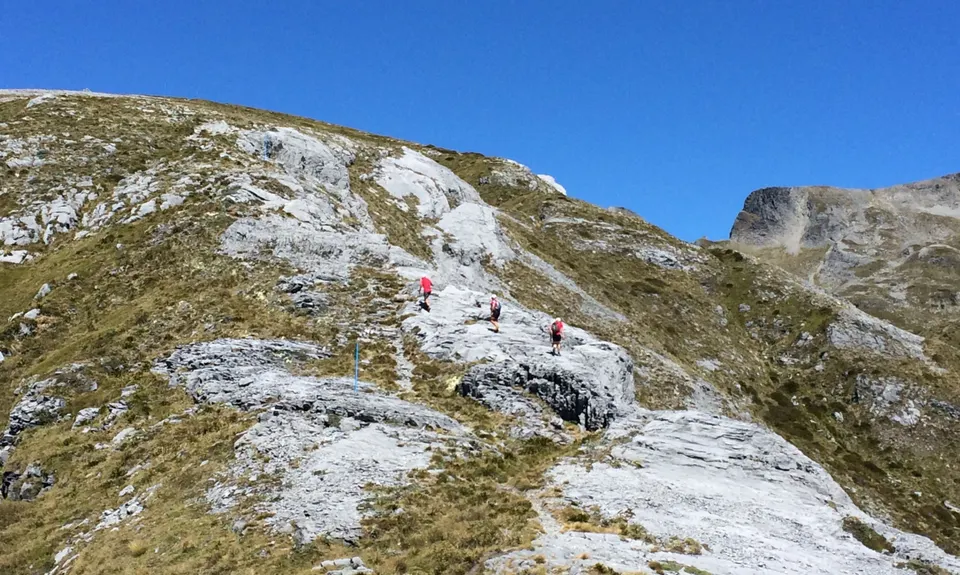 Arthur & Gordons, Tasman