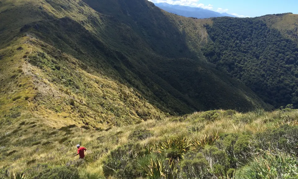 Arthur & Gordons, Tasman