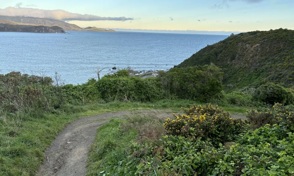 Ataturk to Pass Of Branda Loop, Wellington