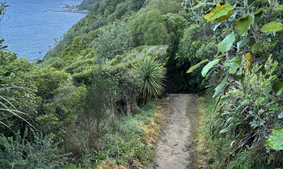Ataturk to Pass Of Branda Loop, Wellington