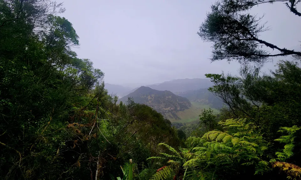 Atene Skyline Track, Manawatu - Wanganui
