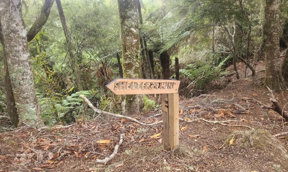 Atene Skyline Track, Manawatu - Wanganui