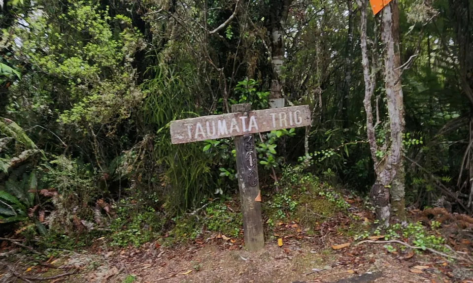 Atene Skyline Track, Manawatu - Wanganui