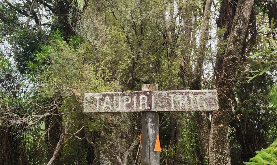 Atene Skyline Track, Manawatu - Wanganui
