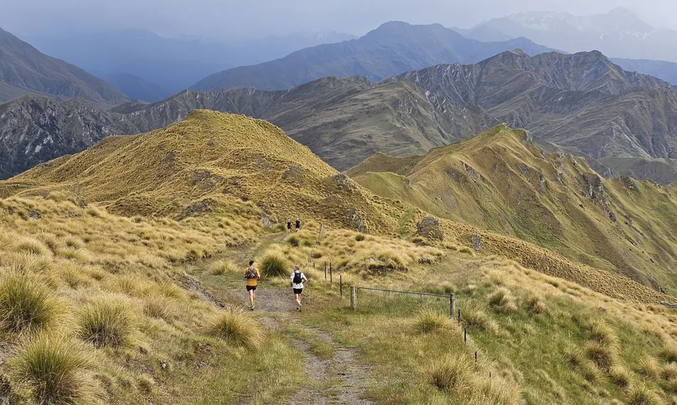 Atley Track, Otago