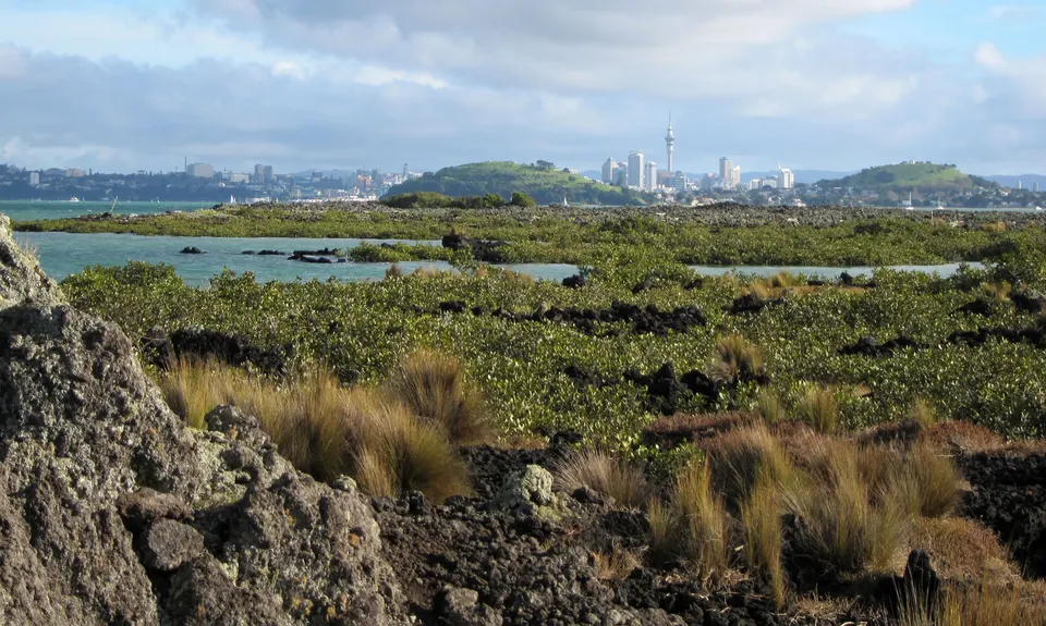 Western Rangitoto, Auckland