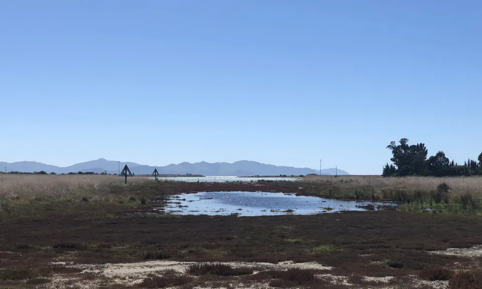 Wairau Lagoons Loop v2, Marlborough