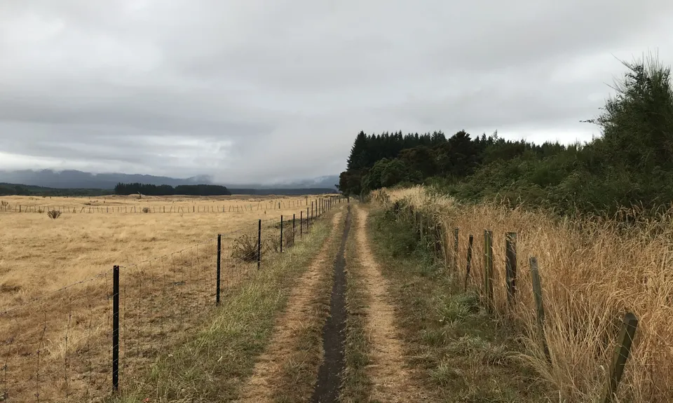 Tongariro River Trail, Waikato