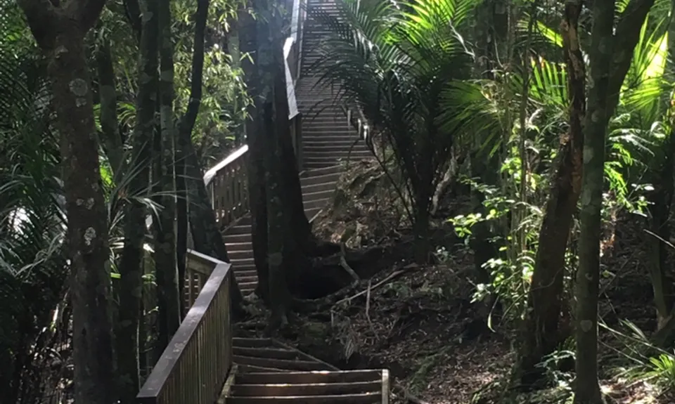 Puhinui Stream Forest Trail, Auckland