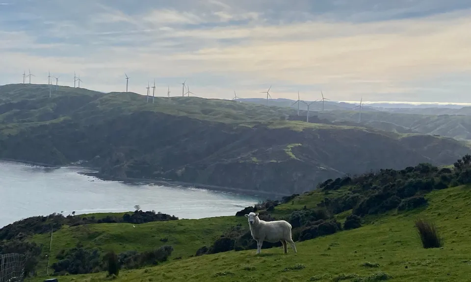 Makara Walkway, Wellington