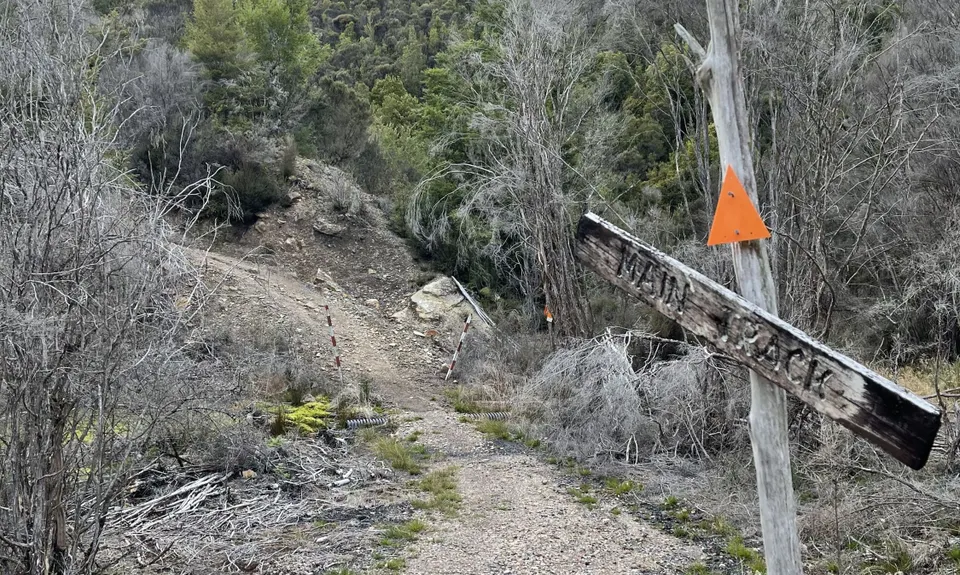Murray Creek / Konini Track Loop, West Coast