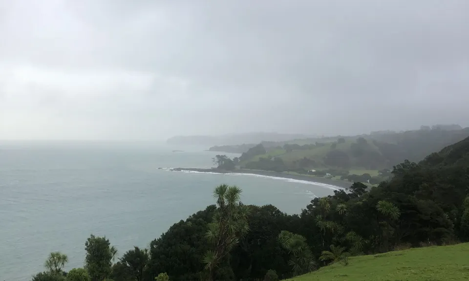 Tawharanui Loops, Auckland