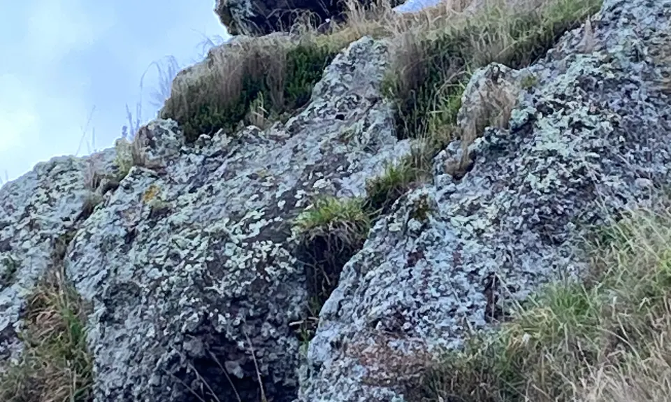 The North Faces, Canterbury