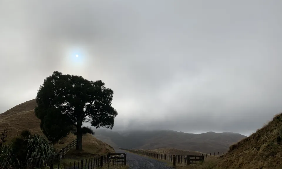 Pipiwharauroa Trail, Waikato