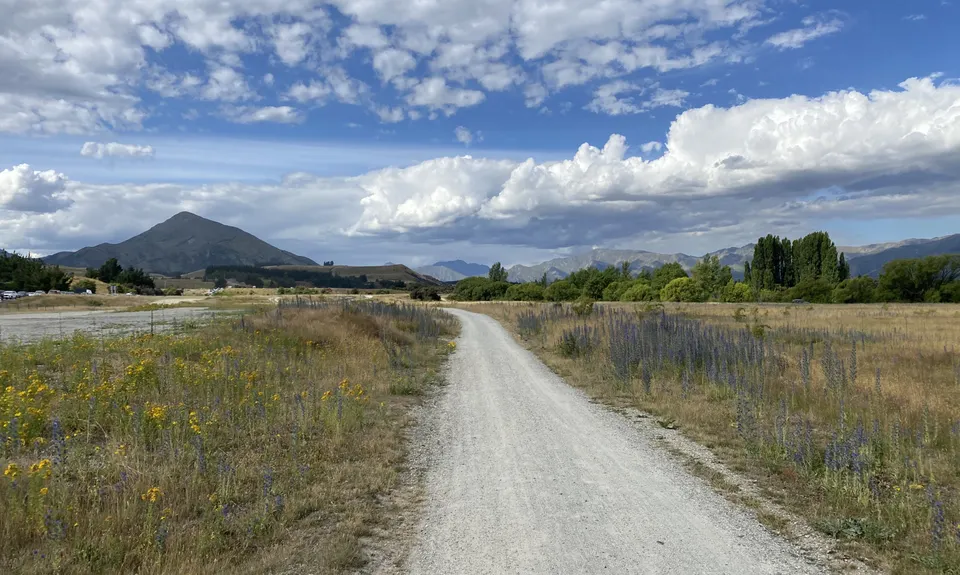 Butterfields Wetlands Loop, Otago