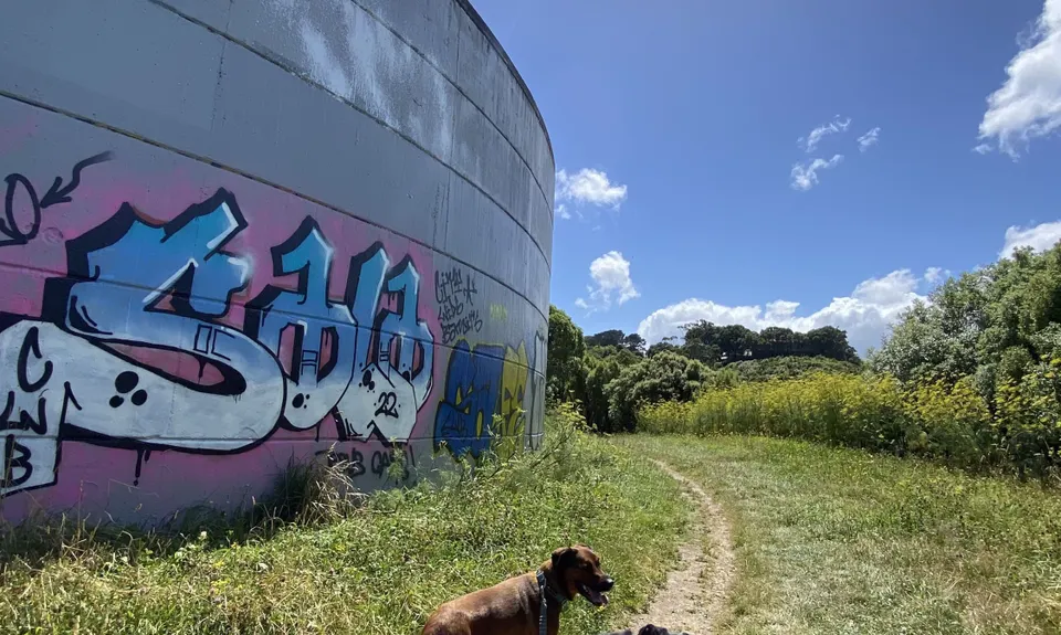 Matairangi Loop, Wellington
