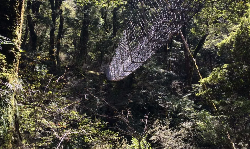Te Iringa Track , Waikato