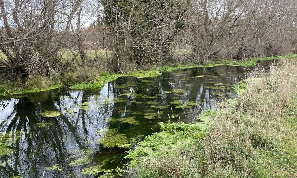 Silver Stream, Canterbury
