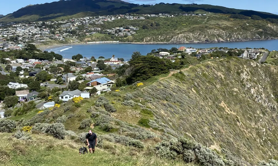 Whitireia and Titahi Bay Cliffs, Wellington