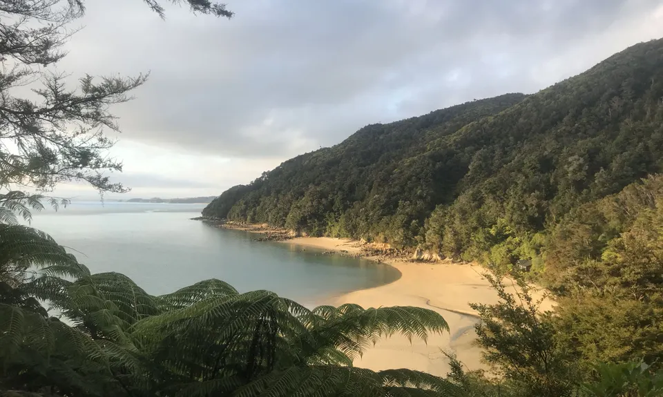 Abel Tasman Wander, Tasman