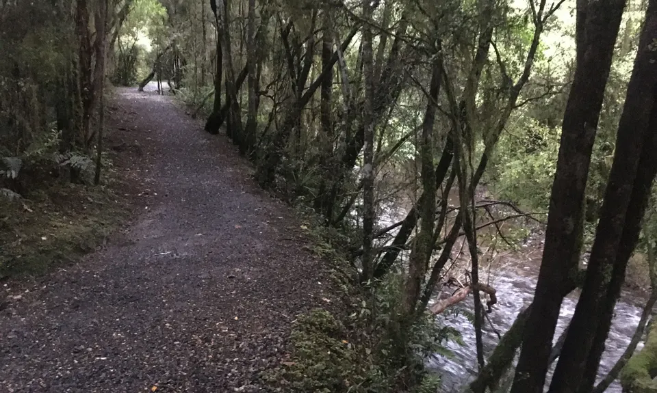 Dunsdale Domain Loop, Southland