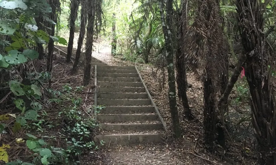 Puke Ariki (Point View Reserve), Auckland