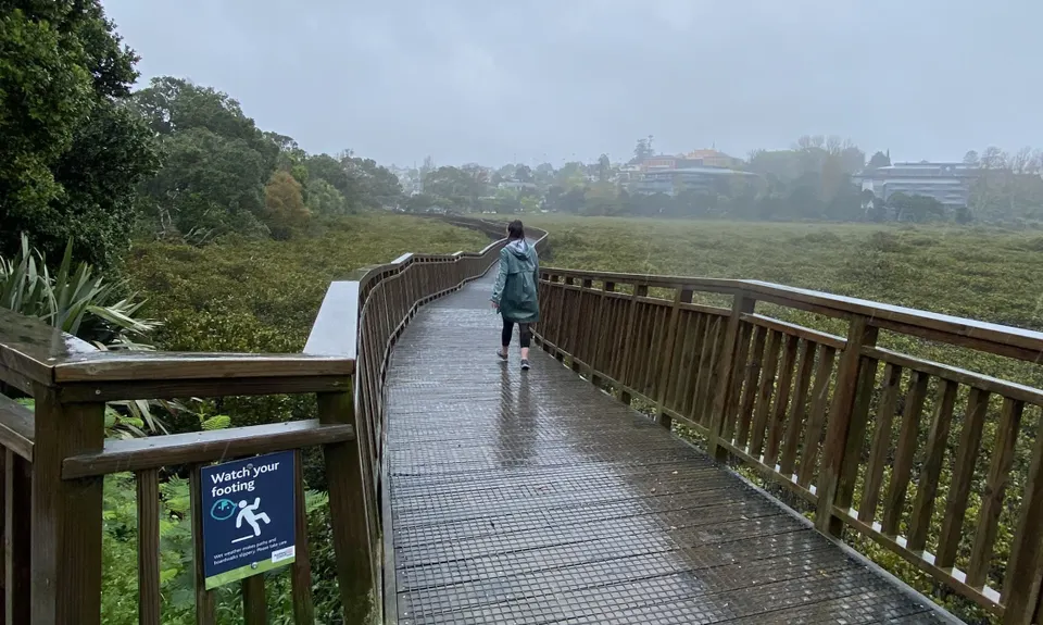 Hobson Bay Loopity, Auckland