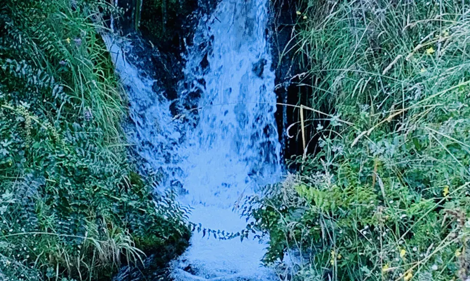 Sawpit Gully - German Hill, Otago