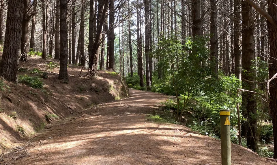 Battle Hill - Puketiro Loop, Wellington