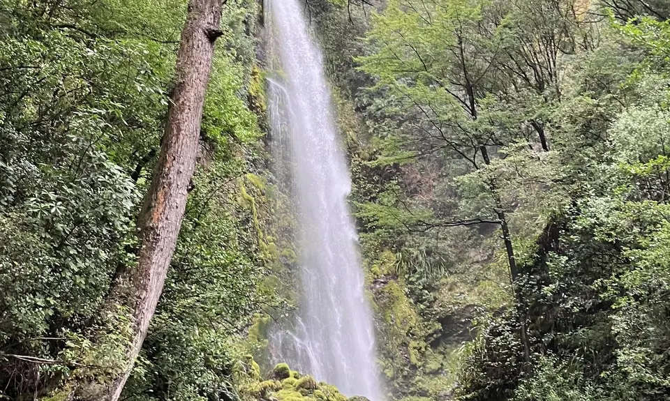 Whisky Falls, Tasman
