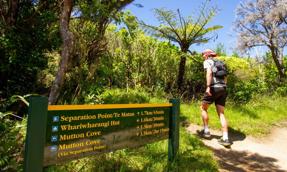 Separation Point Loop, Tasman