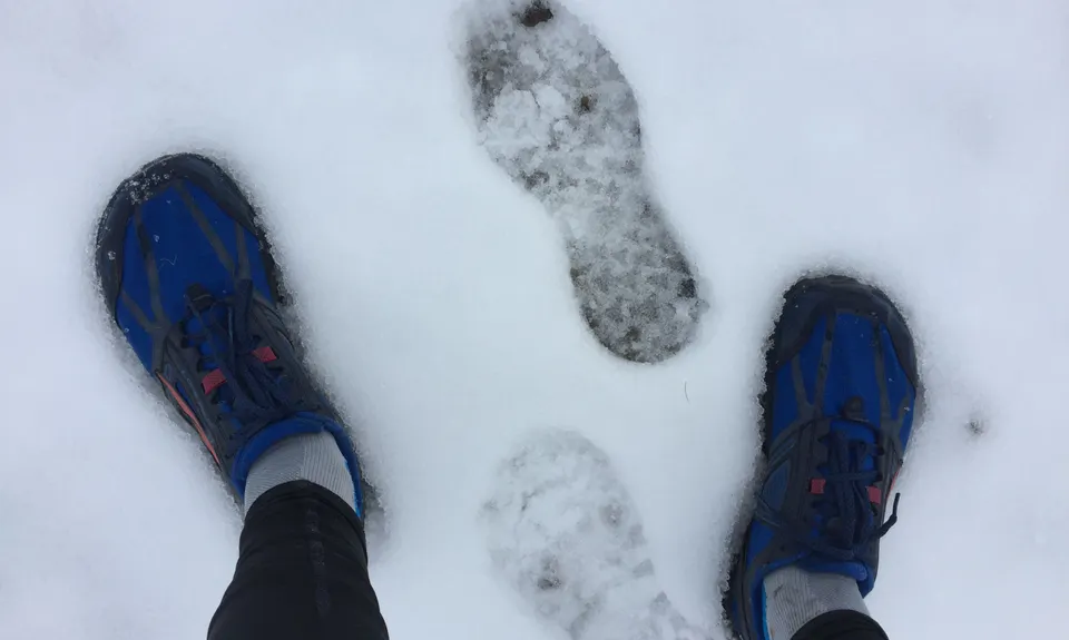 Mt Nimrod Easement Track, Canterbury