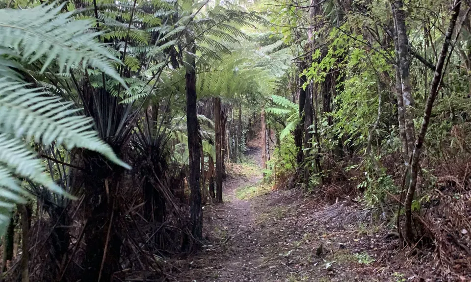 Challenge Track, Auckland