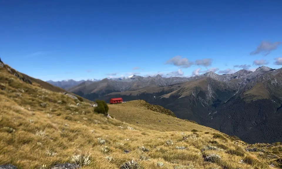 Brewster Bimble, Otago