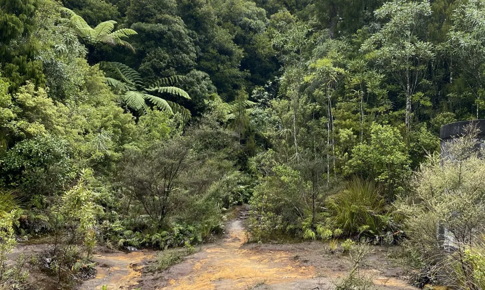 A Roundabout Way to the Lost Tank, Bay of Plenty