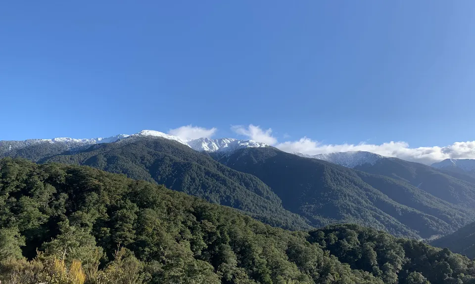 Powell Hut, Wellington