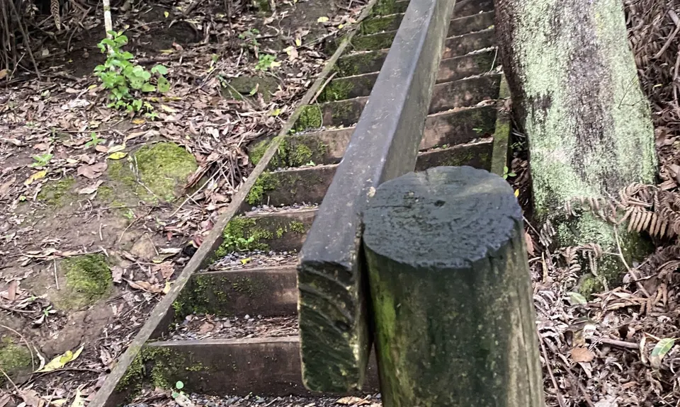 Waikowhai Stairs, Bush & Beach, Auckland