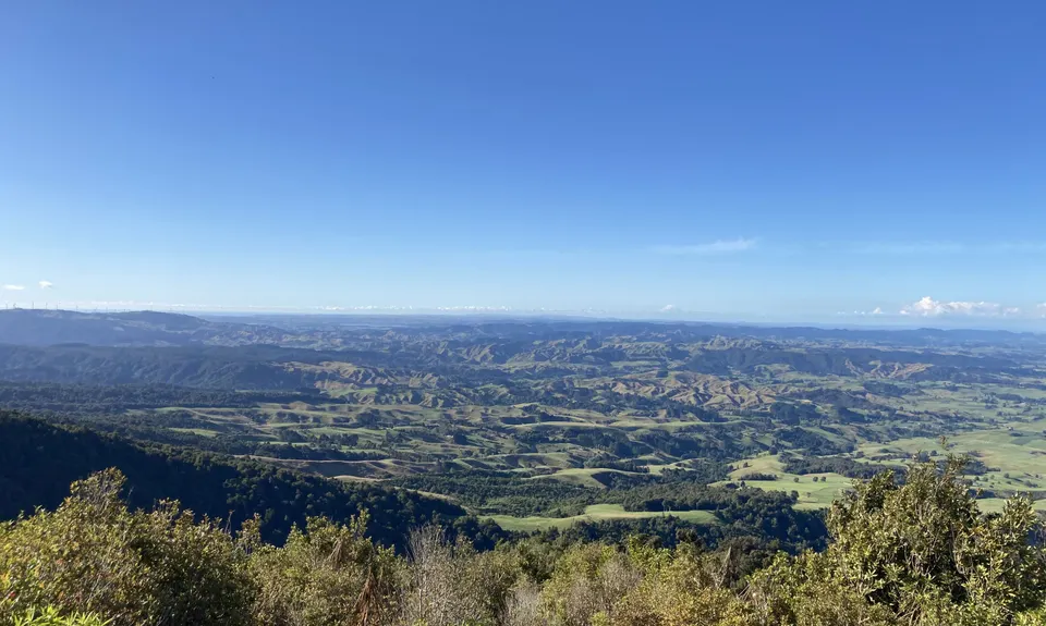Ruapane Leg Burner, Waikato