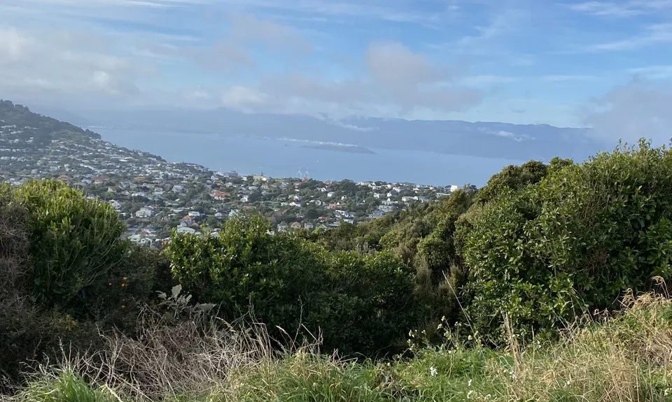 Biblical, Wellington
